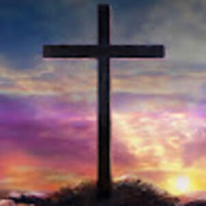 Meet your Posher, Milly